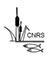 Center for Natural Resource Studies (CNRS)