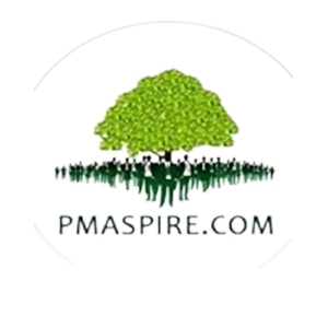 PMASPIRE LIMITED