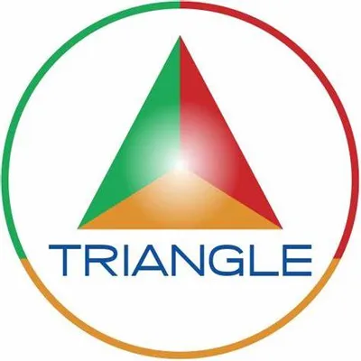 Triangle Services Limited